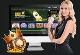 334bet