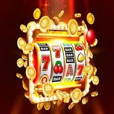 334bet